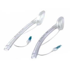 Venta De Laminas Coloreadas Para Microscopia Lima Peru