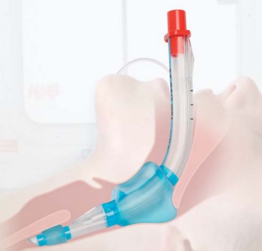 MANOMETRO DE CONTROL UNIVERSAL PARA CUFF VBM